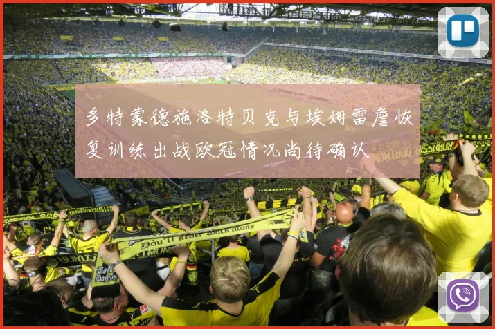 多特蒙德施洛特贝克与埃姆雷詹恢复训练出战欧冠情况尚待确认